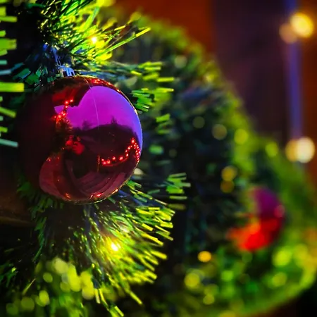 Daire Etno Kutak Purtic *